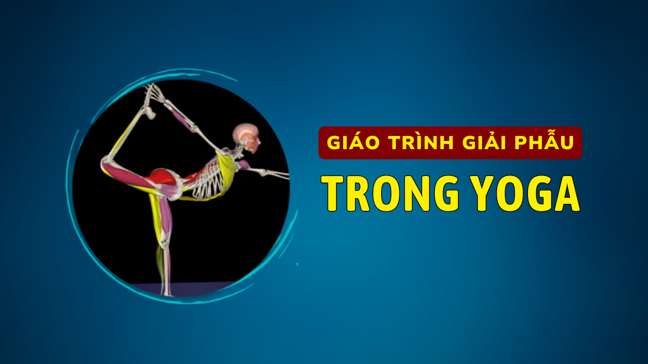 Giáo Trình Giải Phẫu Trong Yoga