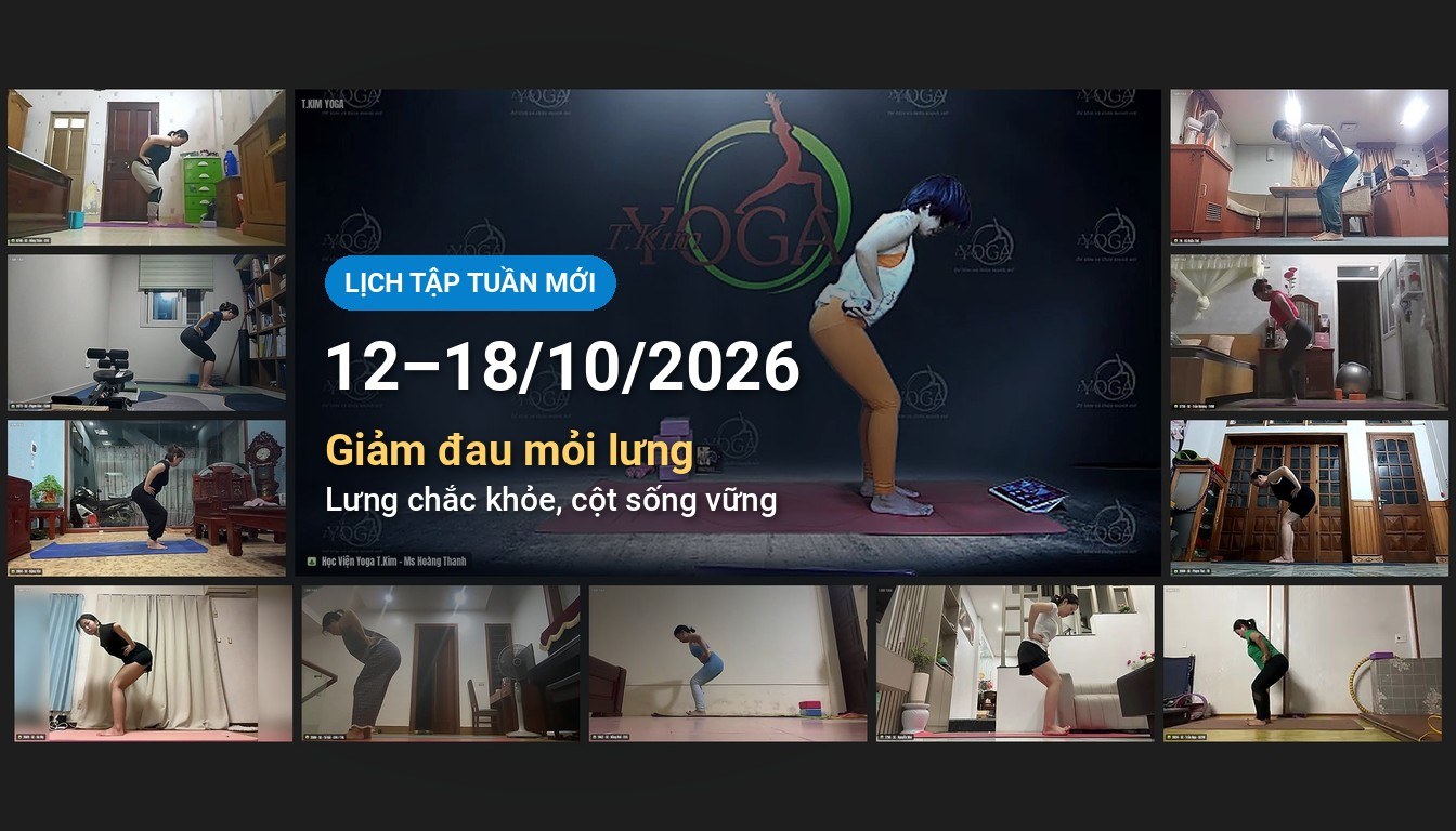 Lịch tập Yoga Online Kinafit tuần 12–18/10/2026: Giảm đau mỏi lưng, lưng chắc khỏe